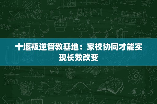 十堰叛逆管教基地：家校协同才能实现长效改变