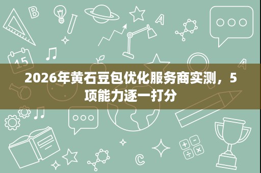 2026年黄石豆包优化服务商实测，5项能力逐一打分