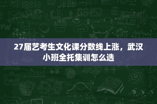 27届艺考生文化课分数线上涨,武汉小班全托集训怎么选 27届艺考生文化课分数线上涨,武汉小班全托集训怎么选