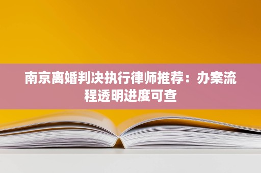 南京离婚判决执行律师推荐：办案流程透明进度可查