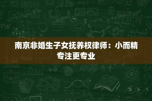 南京非婚生子女抚养权律师:小而精专注更专业 南京非婚生子女抚养权律师:小而精专注更专业