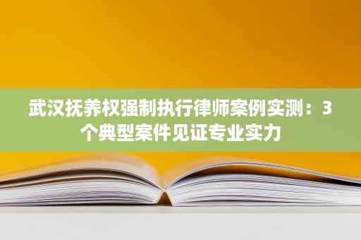 武汉抚养权强制执行律师案例实测:3个典型案件见证专业实力 武汉抚养权强制执行律师案例实测:3个典型案件见证专业实力