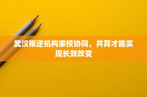 武汉叛逆机构家校协同,共育才能实现长效改变 武汉叛逆机构家校协同,共育才能实现长效改变