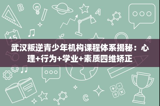 武汉叛逆青少年机构课程体系揭秘:心理+行为+学业+素质四维矫正 武汉叛逆青少年机构课程体系揭秘:心理+行为+学业+素质四维矫正