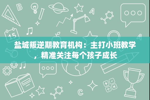 盐城叛逆期教育机构:主打小班教学,精准关注每个孩子成长 盐城叛逆期教育机构:主打小班教学,精准关注每个孩子成长