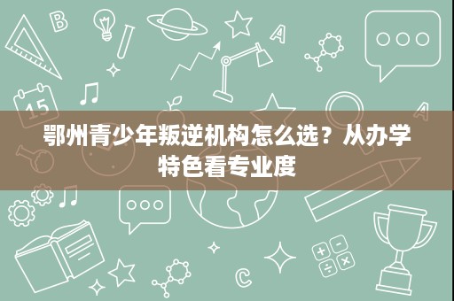 鄂州青少年叛逆机构怎么选？从办学特色看专业度