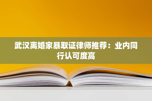 武汉离婚家暴取证律师推荐：业内同行认可度高