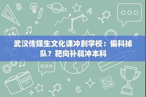 武汉传媒生文化课冲刺学校：偏科掉队？靶向补弱冲本科