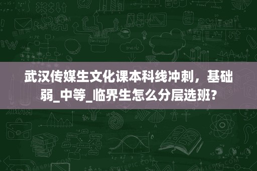 武汉传媒生文化课本科线冲刺，基础弱_中等_临界生怎么分层选班？