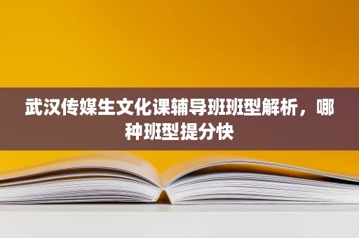 武汉传媒生文化课辅导班班型解析，哪种班型提分快