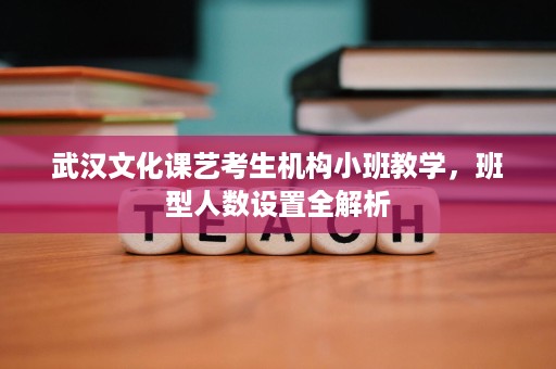 武汉文化课艺考生机构小班教学,班型人数设置全解析 武汉文化课艺考生机构小班教学,班型人数设置全解析
