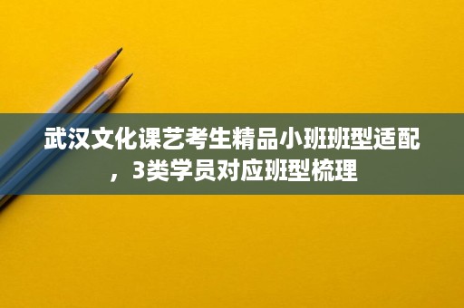 武汉文化课艺考生精品小班班型适配,3类学员对应班型梳理 武汉文化课艺考生精品小班班型适配,3类学员对应班型梳理