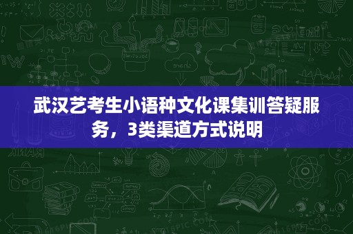 武汉艺考生小语种文化课集训答疑服务,3类渠道方式说明 武汉艺考生小语种文化课集训答疑服务,3类渠道方式说明