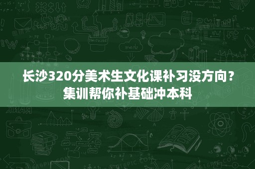 长沙320分美术生文化课补习没方向？集训帮你补基础冲本科