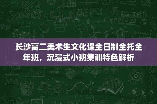 长沙高二美术生文化课全日制全托全年班,沉浸式小班集训特色解析 长沙高二美术生文化课全日制全托全年班,沉浸式小班集训特色解析