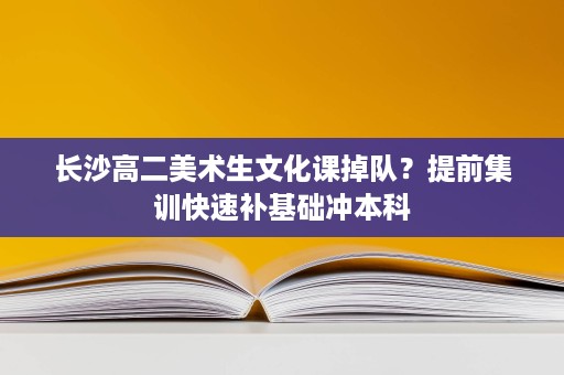 长沙高二美术生文化课掉队?提前集训快速补基础冲本科 长沙高二美术生文化课掉队?提前集训快速补基础冲本科