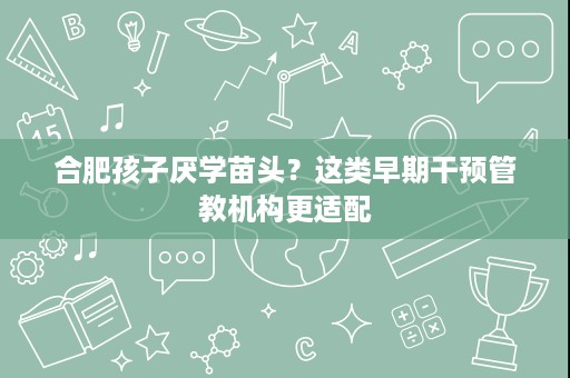 合肥孩子厌学苗头?这类早期干预管教机构更适配 合肥孩子厌学苗头?这类早期干预管教机构更适配