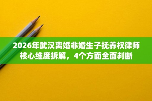 2026年武汉离婚非婚生子抚养权律师核心维度拆解，4个方面全面判断