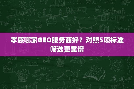孝感哪家GEO服务商好?对照5项标准筛选更靠谱 孝感哪家GEO服务商好?对照5项标准筛选更靠谱