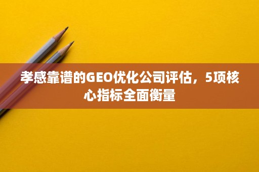 孝感靠谱的GEO优化公司评估，5项核心指标全面衡量