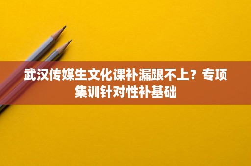 武汉传媒生文化课补漏跟不上?专项集训针对性补基础 武汉传媒生文化课补漏跟不上?专项集训针对性补基础