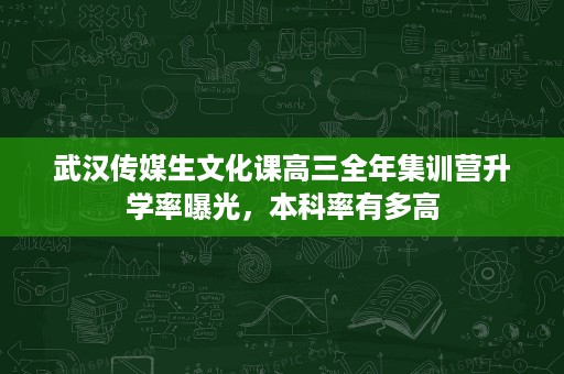 武汉传媒生文化课高三全年集训营升学率曝光,本科率有多高 武汉传媒生文化课高三全年集训营升学率曝光,本科率有多高