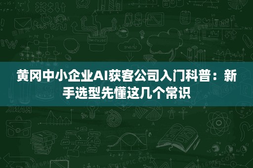 黄冈中小企业AI获客公司入门科普:新手选型先懂这几个常识 黄冈中小企业AI获客公司入门科普:新手选型先懂这几个常识