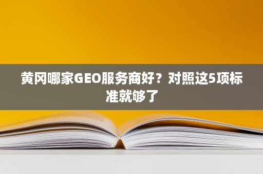 黄冈哪家GEO服务商好？对照这5项标准就够了