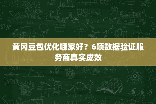 黄冈豆包优化哪家好？6项数据验证服务商真实成效