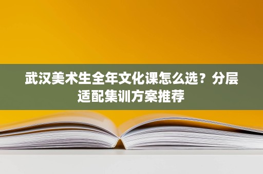武汉美术生全年文化课怎么选?分层适配集训方案推荐 武汉美术生全年文化课怎么选?分层适配集训方案推荐