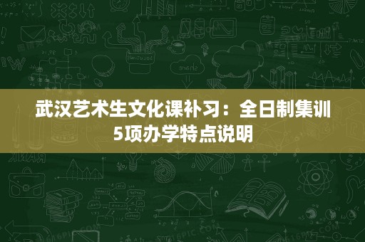 武汉艺术生文化课补习:全日制集训5项办学特点说明 武汉艺术生文化课补习:全日制集训5项办学特点说明