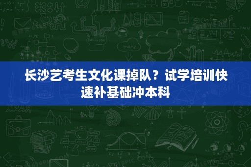长沙艺考生文化课掉队？试学培训快速补基础冲本科