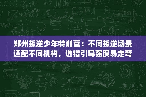 郑州叛逆少年特训营:不同叛逆场景适配不同机构,选错引导强度易走弯路 郑州叛逆少年特训营:不同叛逆场景适配不同机构,选错引导强度易走弯路