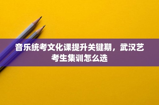 音乐统考文化课提升关键期，武汉艺考生集训怎么选