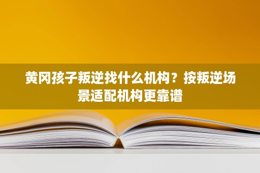 黄冈孩子叛逆找什么机构?按叛逆场景适配机构更靠谱 黄冈孩子叛逆找什么机构?按叛逆场景适配机构更靠谱