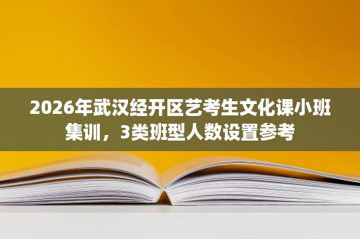 2026年武汉经开区艺考生文化课小班集训,3类班型人数设置参考 2026年武汉经开区艺考生文化课小班集训,3类班型人数设置参考