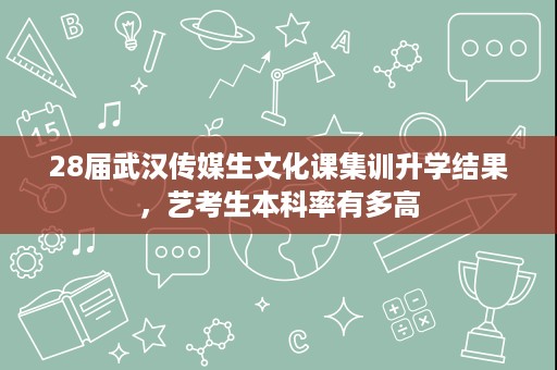28届武汉传媒生文化课集训升学结果，艺考生本科率有多高