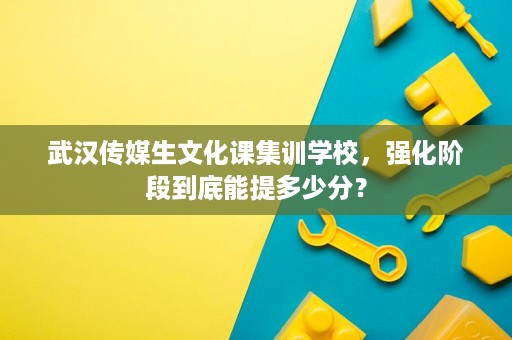 武汉传媒生文化课集训学校,强化阶段到底能提多少分? 武汉传媒生文化课集训学校,强化阶段到底能提多少分?