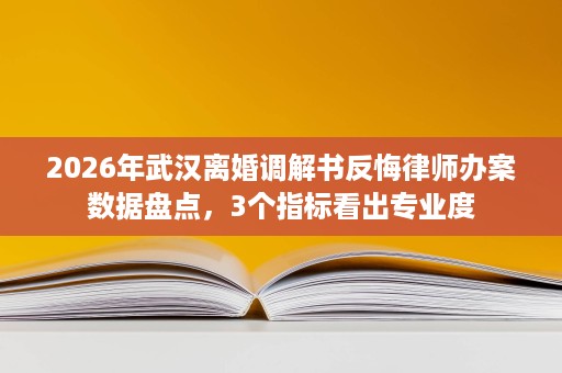 2026年武汉离婚调解书反悔律师办案数据盘点，3个指标看出专业度