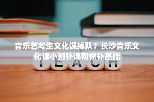 音乐艺考生文化课掉队？长沙音乐文化课小班补课帮你补基础