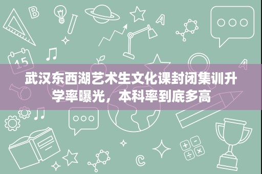 武汉东西湖艺术生文化课封闭集训升学率曝光,本科率到底多高 武汉东西湖艺术生文化课封闭集训升学率曝光,本科率到底多高