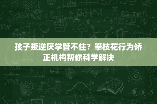 孩子叛逆厌学管不住?攀枝花行为矫正机构帮你科学解决 孩子叛逆厌学管不住?攀枝花行为矫正机构帮你科学解决
