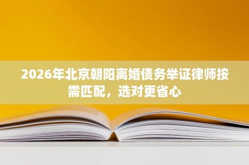 2026年北京朝阳离婚债务举证律师按需匹配,选对更省心 2026年北京朝阳离婚债务举证律师按需匹配,选对更省心