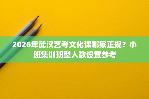2026年武汉艺考文化课哪家正规？小班集训班型人数设置参考