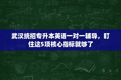 武汉统招专升本英语一对一辅导,盯住这5项核心指标就够了 武汉统招专升本英语一对一辅导,盯住这5项核心指标就够了