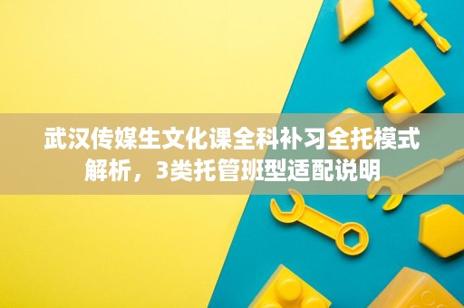 武汉传媒生文化课全科补习全托模式解析,3类托管班型适配说明 武汉传媒生文化课全科补习全托模式解析,3类托管班型适配说明