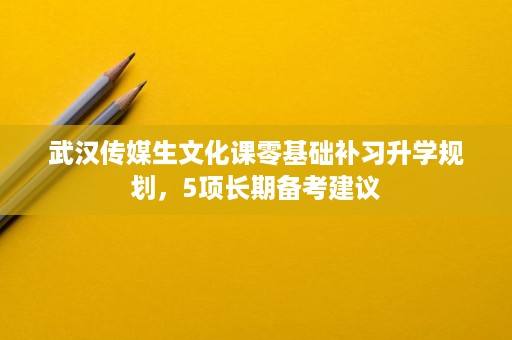 武汉传媒生文化课零基础补习升学规划,5项长期备考建议 武汉传媒生文化课零基础补习升学规划,5项长期备考建议