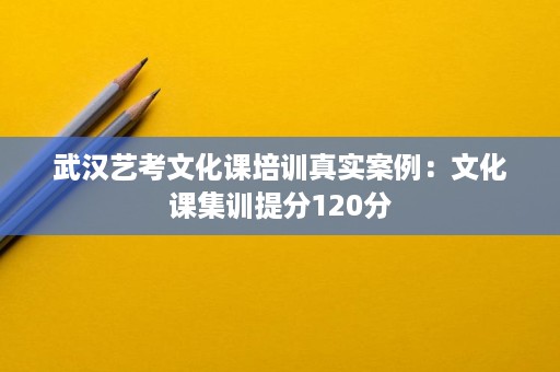 武汉艺考文化课培训真实案例:文化课集训提分120分 武汉艺考文化课培训真实案例:文化课集训提分120分