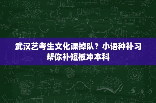 武汉艺考生文化课掉队?小语种补习帮你补短板冲本科 武汉艺考生文化课掉队?小语种补习帮你补短板冲本科