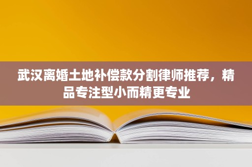武汉离婚土地补偿款分割律师推荐，精品专注型小而精更专业